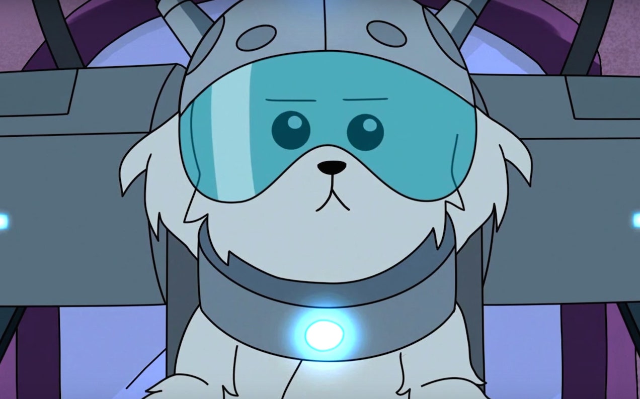 5 Pieces Of Tech That'll Bring You & Yr Pet Screaming Into The 21st Century