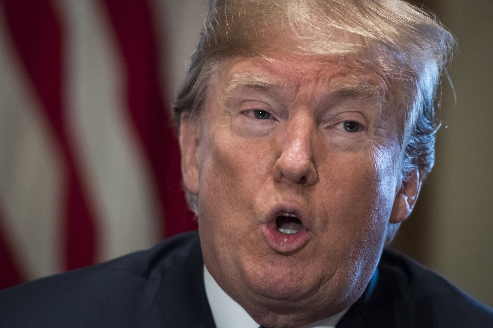 Donald Trump And Inside Dog Ear Donald Trump And Inside Dog Ear