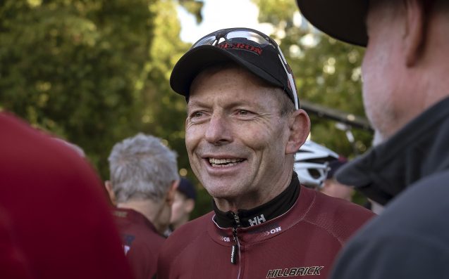 Bishop claims Newspolls aren't the reason Abbott was ousted as PM