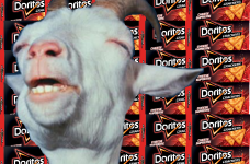 Doritos crackers